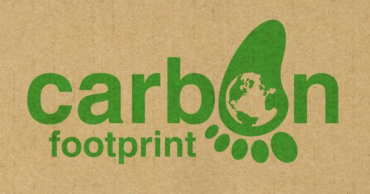 What Is a Carbon Footprint for Business?