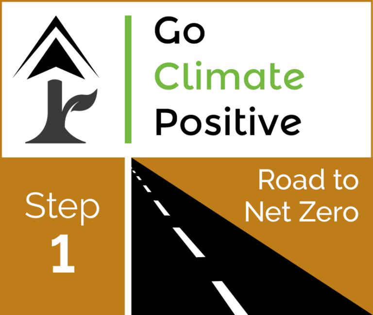 GCP R2NZ Step 1 (1)